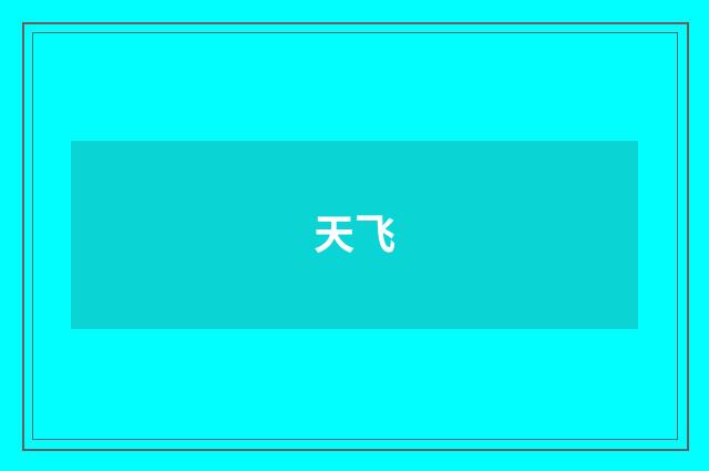 天飞
