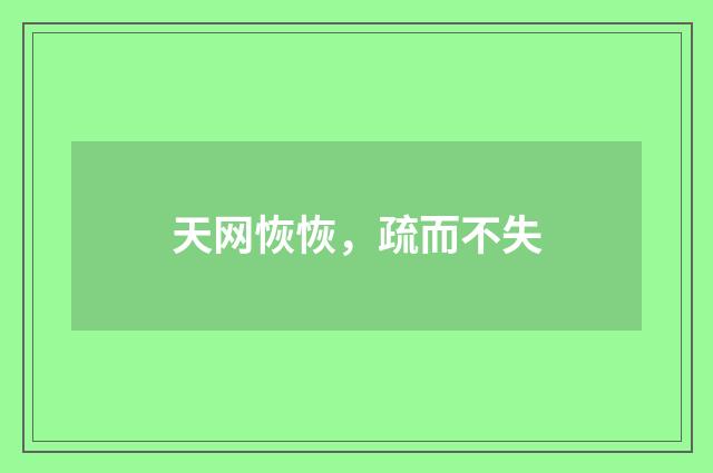 天网恢恢，疏而不失