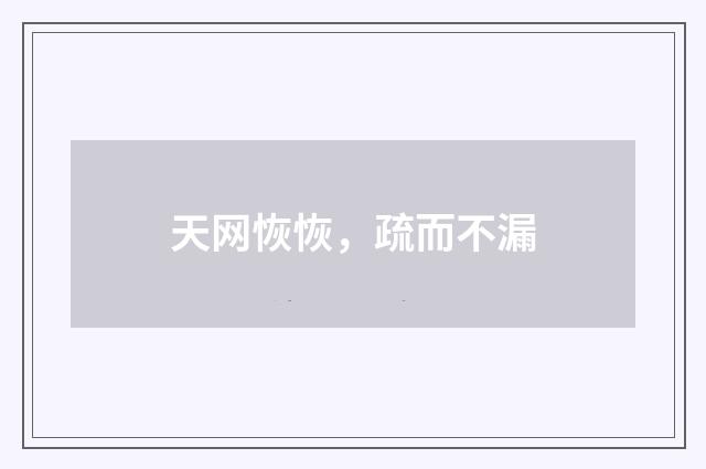 天网恢恢，疏而不漏