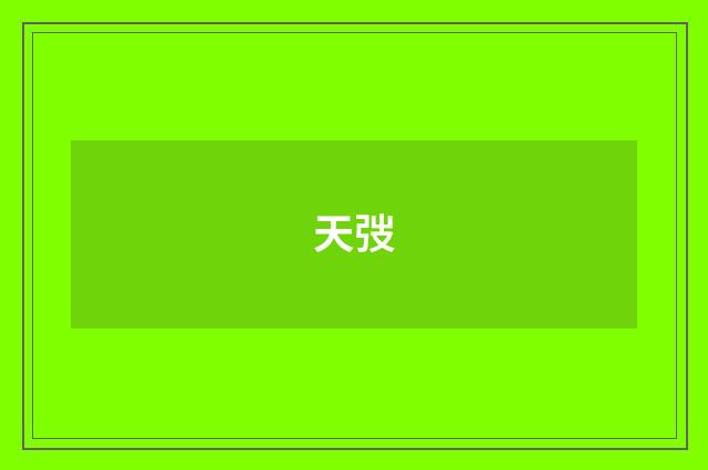 天弢