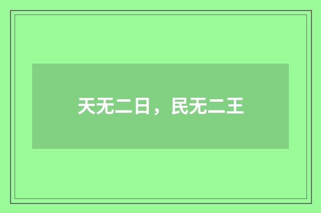 天无二日，民无二王