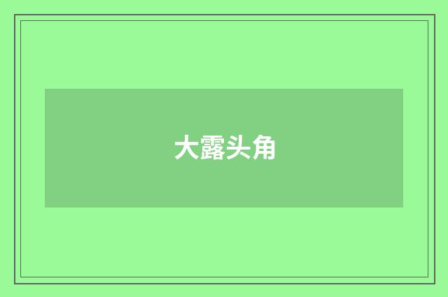 大露头角