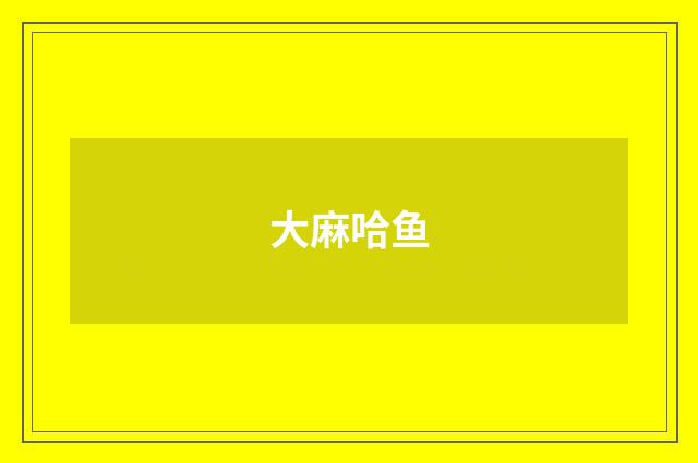 大麻哈鱼