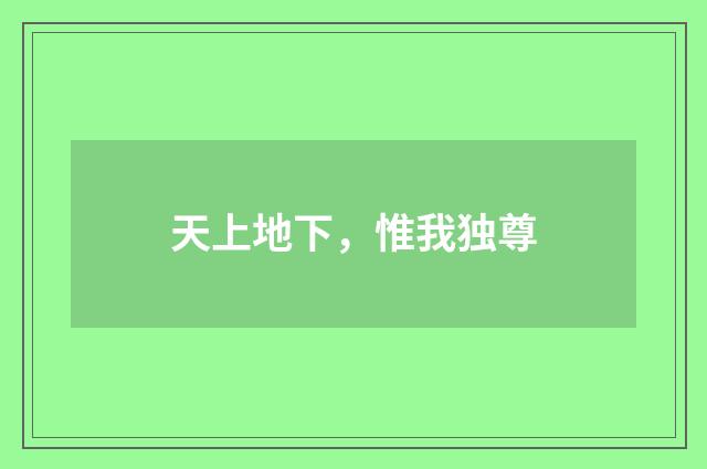 天上地下，惟我独尊