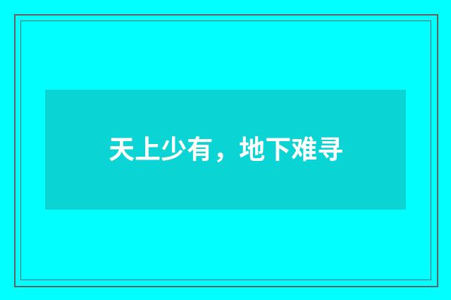 天上少有，地下难寻