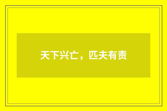 天下兴亡，匹夫有责