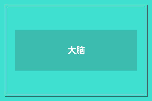 大脑