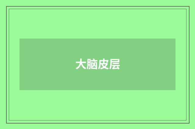 大脑皮层