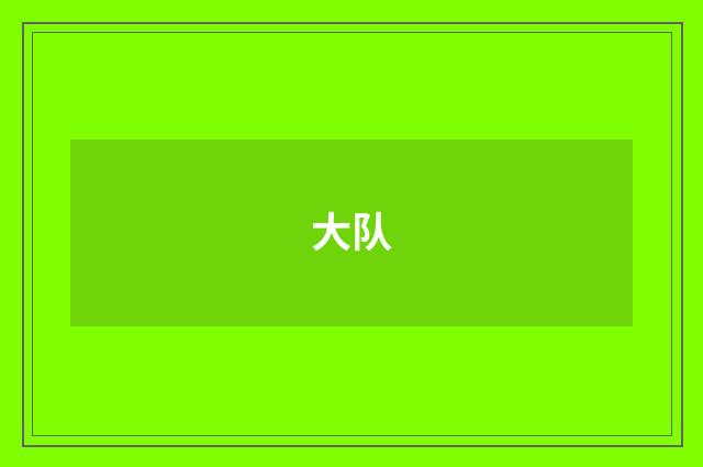 大队