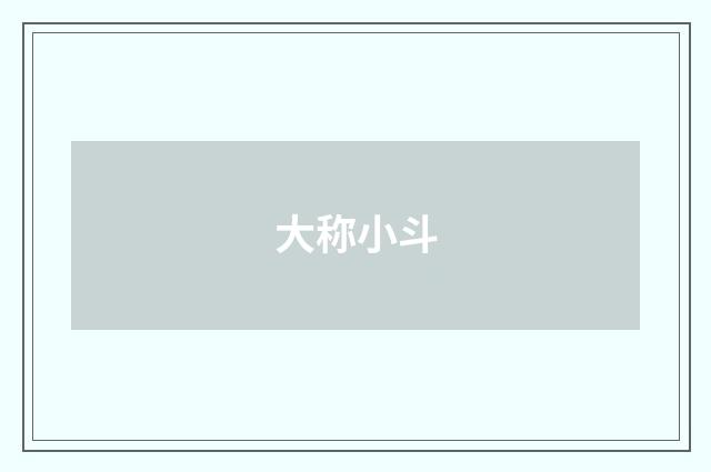 大称小斗