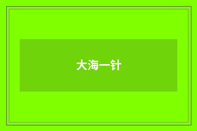 大海一针