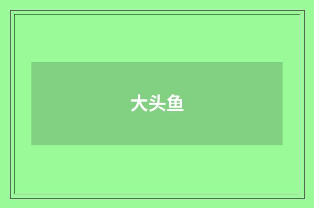 大头鱼