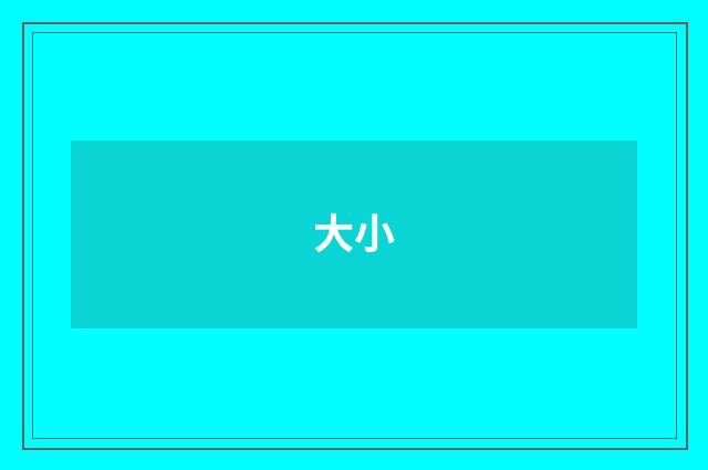 大小