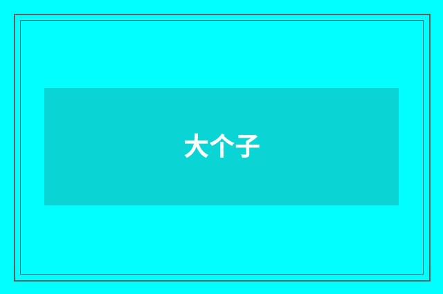 大个子