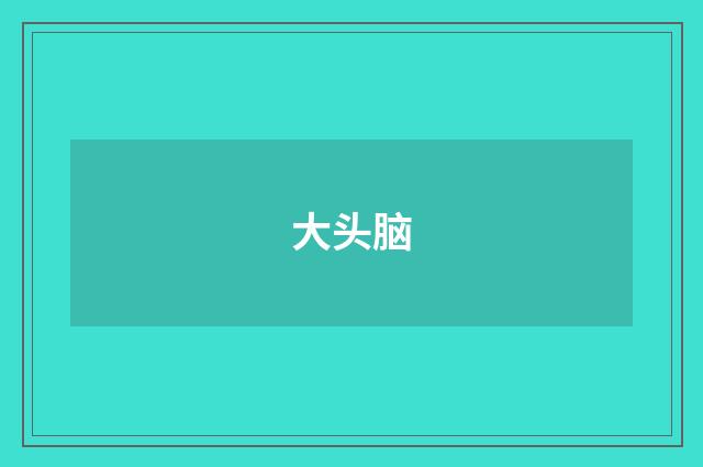 大头脑