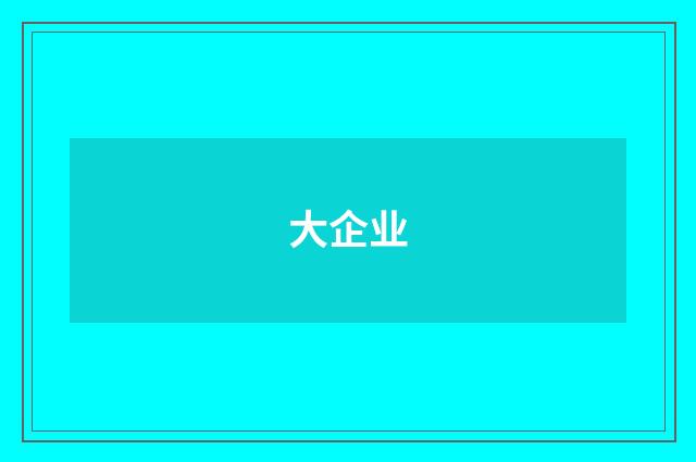 大企业