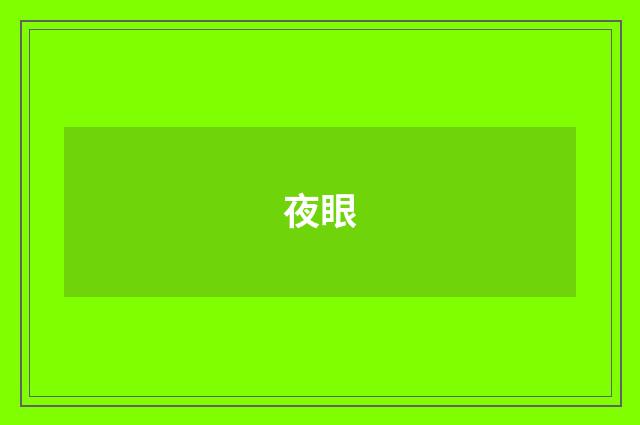 夜眼