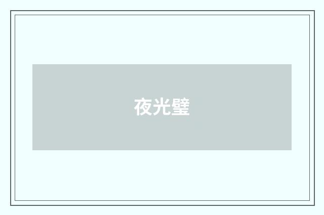 夜光璧