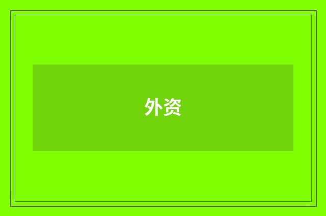 外资