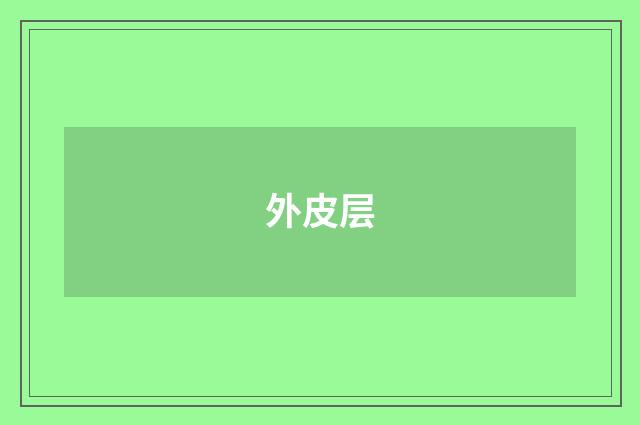 外皮层