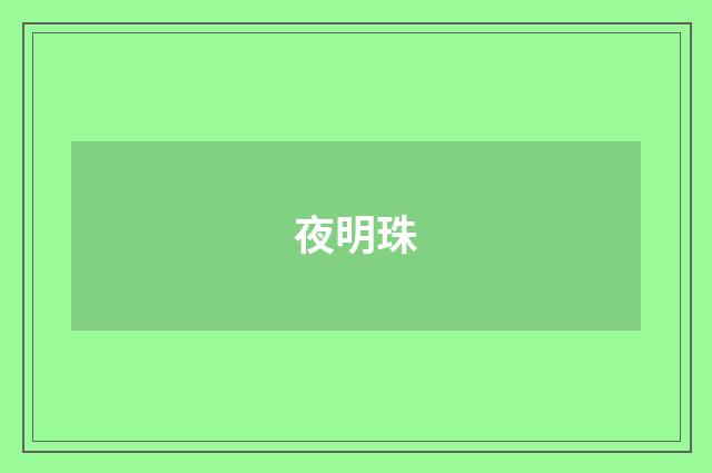 夜明珠