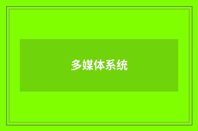 多媒体系统
