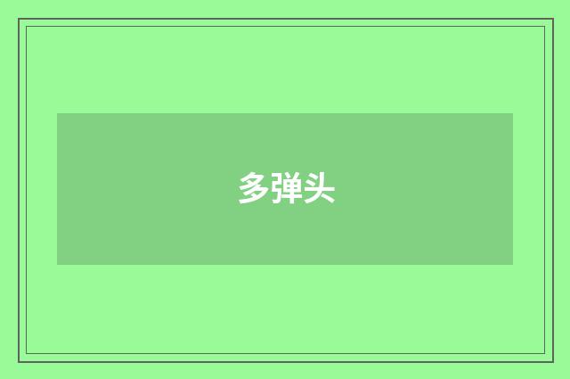 多弹头