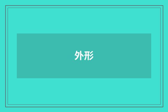 外形