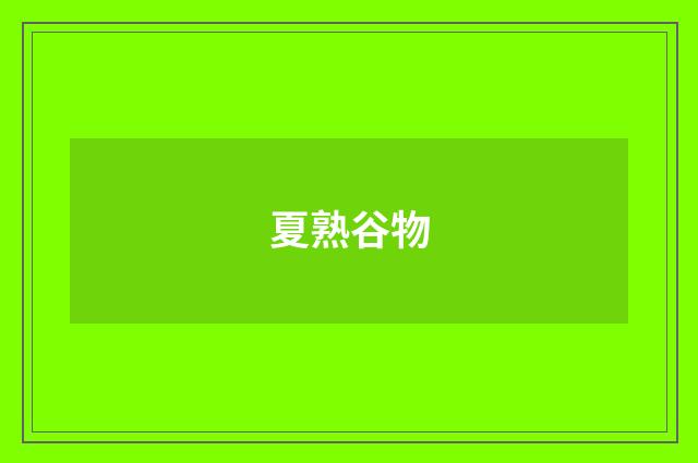 夏熟谷物
