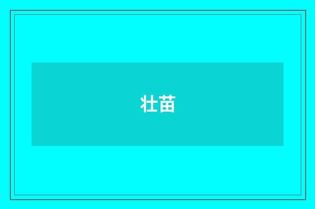 壮苗
