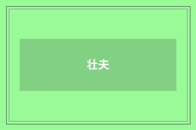 壮夫