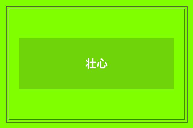 壮心