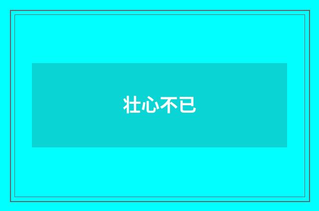 壮心不已