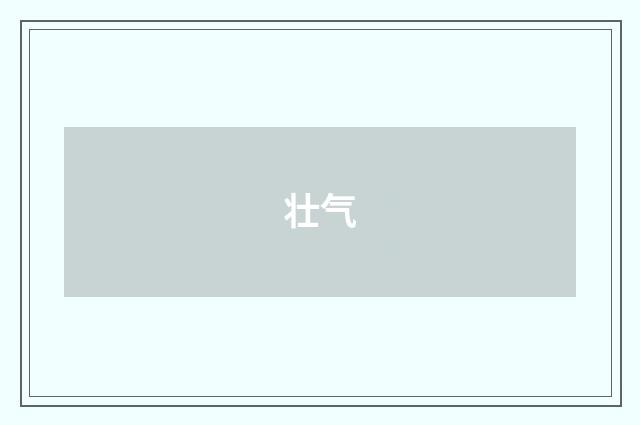 壮气