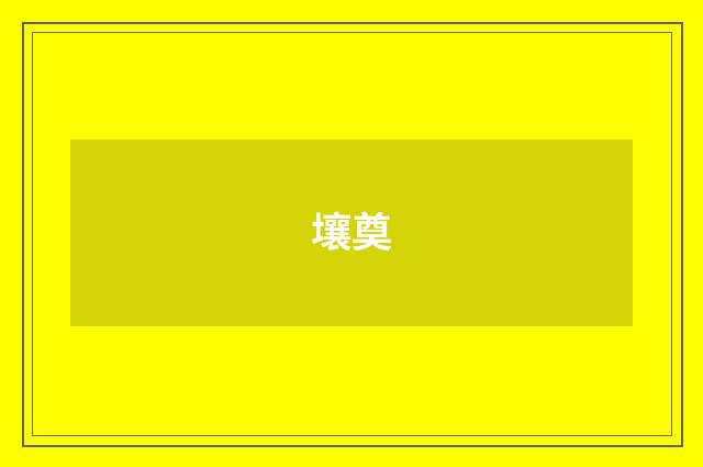 壤奠