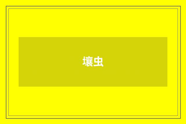 壤虫