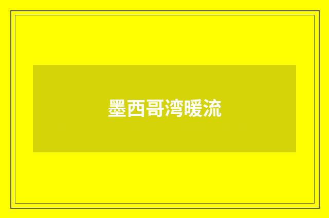 墨西哥湾暖流