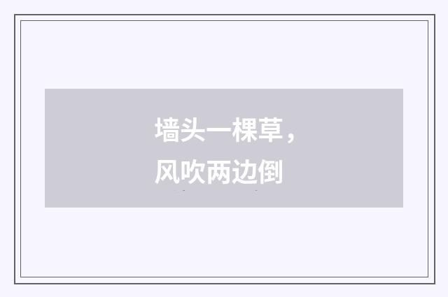 墙头一棵草，风吹两边倒