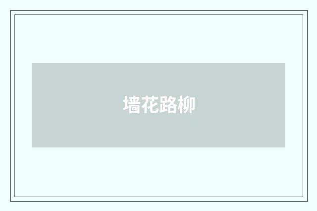 墙花路柳