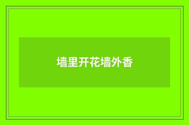 墙里开花墙外香