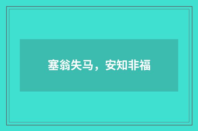塞翁失马，安知非福