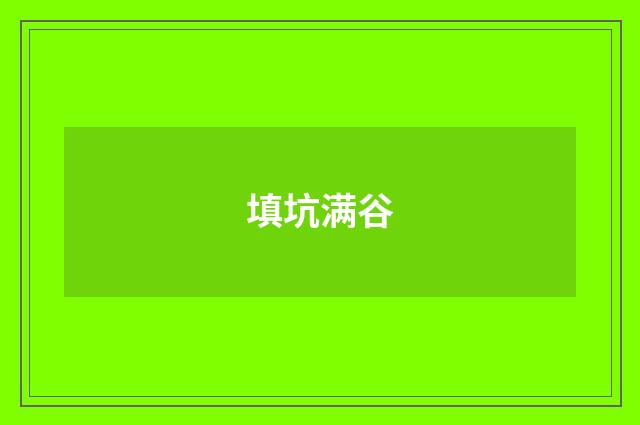 填坑满谷