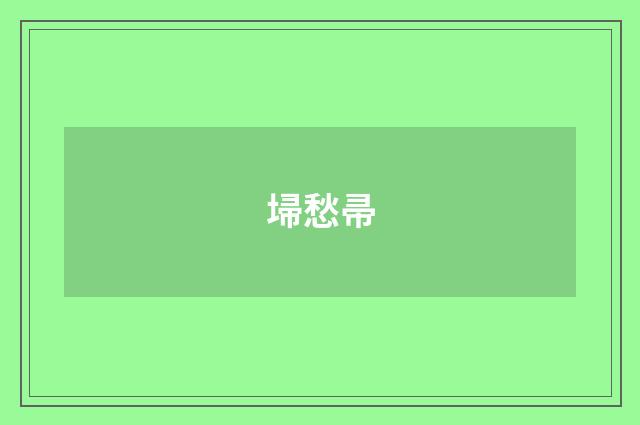 埽愁帚