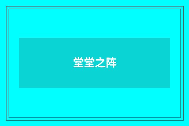 堂堂之阵