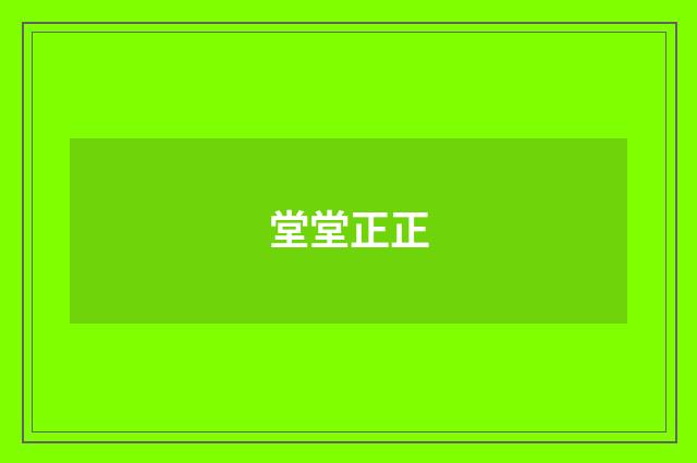 堂堂正正