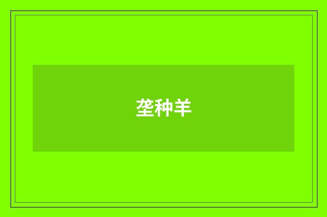 垄种羊