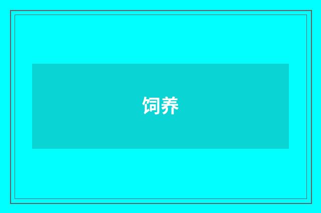 饲养