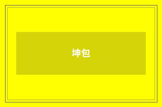 坤包