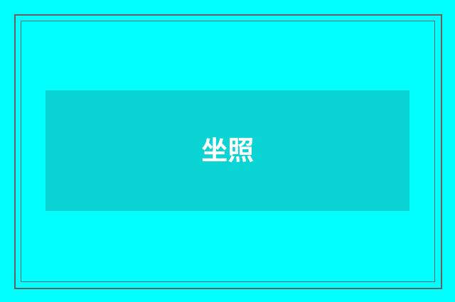 坐照