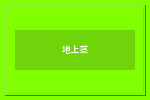 地上茎
